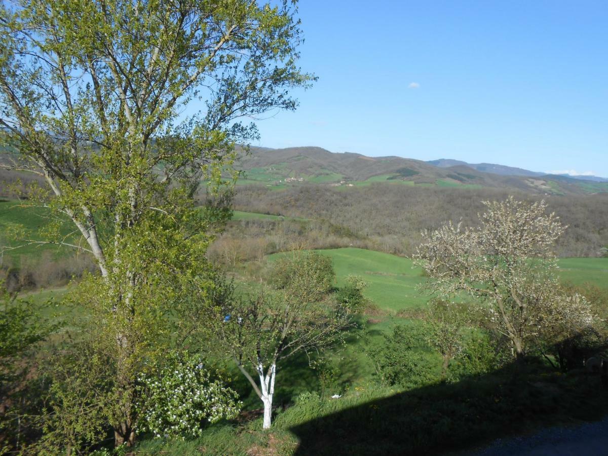 Chambre D'Hotes Des Monts Saint-Izaire Exterior foto